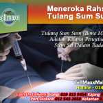 Kilang-Pengeluaran-Stem-Sel