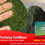 Fakta-Tentang-CellMaxx